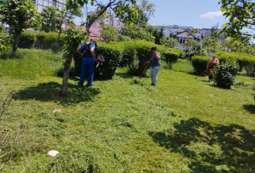 Lucrări de întreţinere a spaţiilor verzi în mai multe zone din Ploieşti