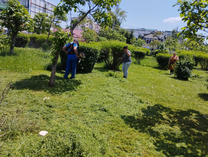 Lucrări de întreţinere a spaţiilor verzi în mai multe zone din Ploieşti Lucrări de întreţinere a spaţiilor verzi în mai multe zone din Ploieşti