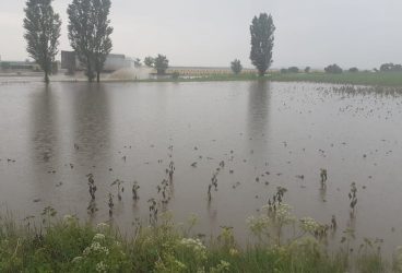 Cod galben de ploi torenţiale în Prahova. Lista localităţilor vizate