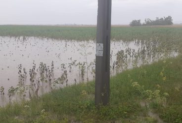 Risc de viituri pe râurile din judeţul Prahova