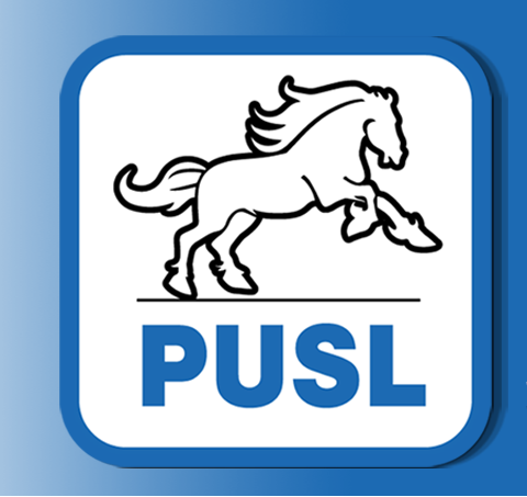 UE validează susținerea PUSL pentru inițiativa cetățenească privind confiscarea averilor ilicite