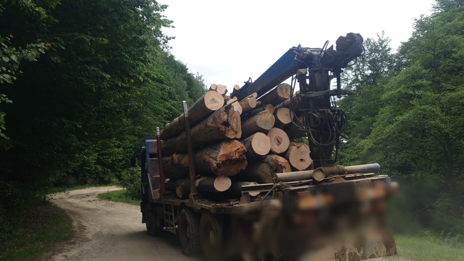 Intervenţie a poliţiei în Starchiojd, la persoane care transportau material lemnos. Amenzi şi marfă confiscată Intervenţie a poliţiei în Starchiojd, la persoane care transportau material lemnos. Amenzi şi marfă confiscată