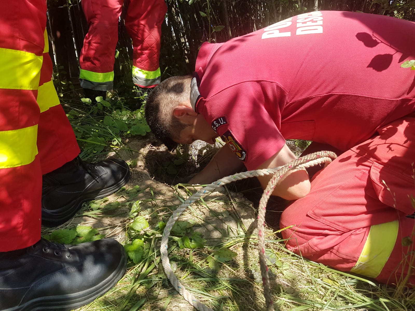 Update. Intervenţie la Brazi pentru salvarea a doi căţei căzuţi într-un puţ dezafectat Update. Intervenţie la Brazi pentru salvarea a doi căţei căzuţi într-un puţ dezafectat