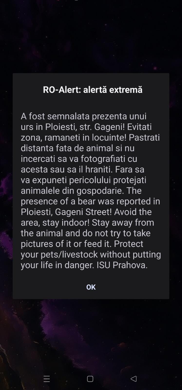 Urs pe străzile Ploieștiului!!!