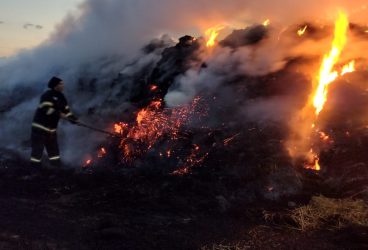 Încă se lucrează la lichidarea incendiului de amploare de la Pleaşa – Galerie foto