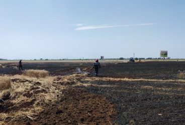 Incendiu de vegetaţie în Băneşti