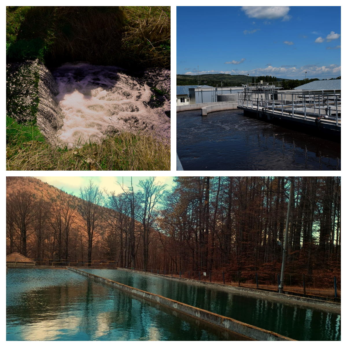 HIDRO PRAHOVA: Buletin informativ privind calitatea apei în Prahova – 08 septembrie 2023 HIDRO PRAHOVA: Buletin informativ privind calitatea apei în Prahova – 08 septembrie 2023