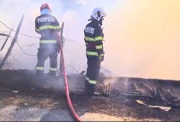 Pompierii au stins un incendiu la Poseşti, însă 4 animale au ars într-o gospodărie
