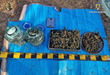Percheziţii în Prahova, Ilfov și Dâmbovița, într-un dosar de trafic de droguri