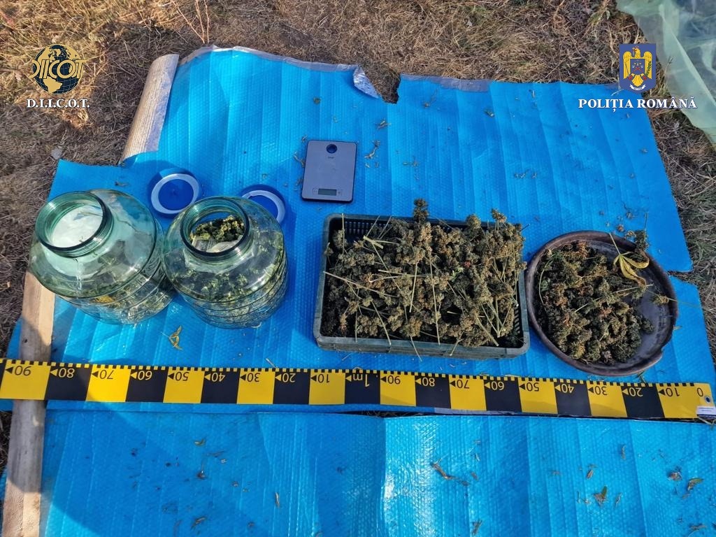 Percheziţii în Prahova, Ilfov și Dâmbovița, într-un dosar de trafic de droguri