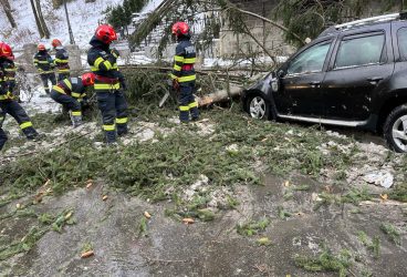 Ce pagube a făcut vremea rea, în Prahova