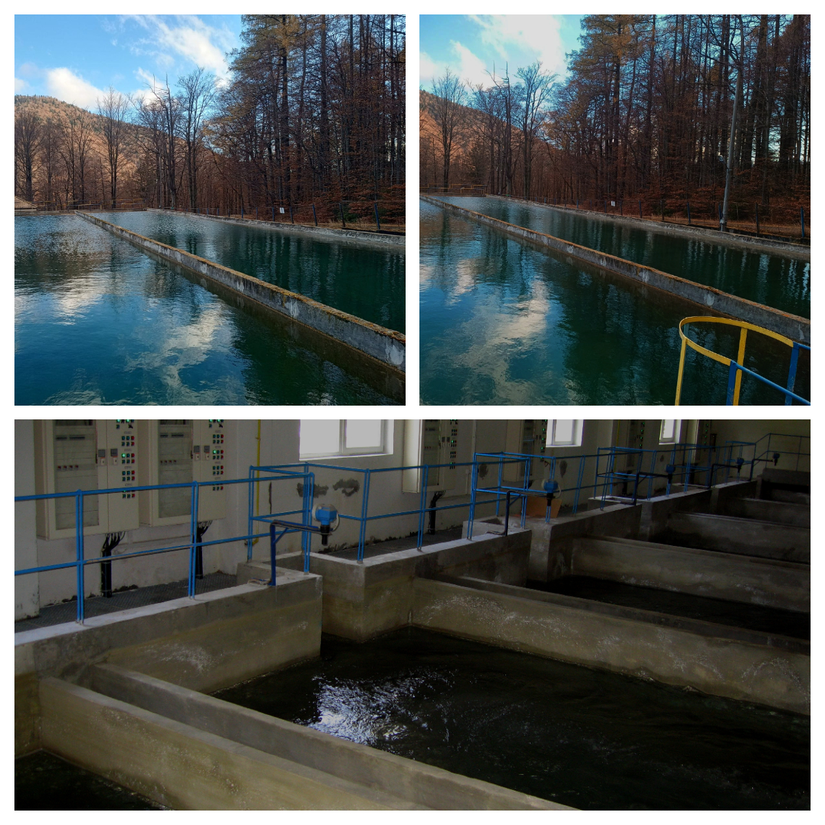 Hidro Prahova: Buletin informativ privind calitatea apei în Prahova, emis în data de 10 noiembrie 2023 Hidro Prahova: Buletin informativ privind calitatea apei în Prahova, emis în data de 10 noiembrie 2023