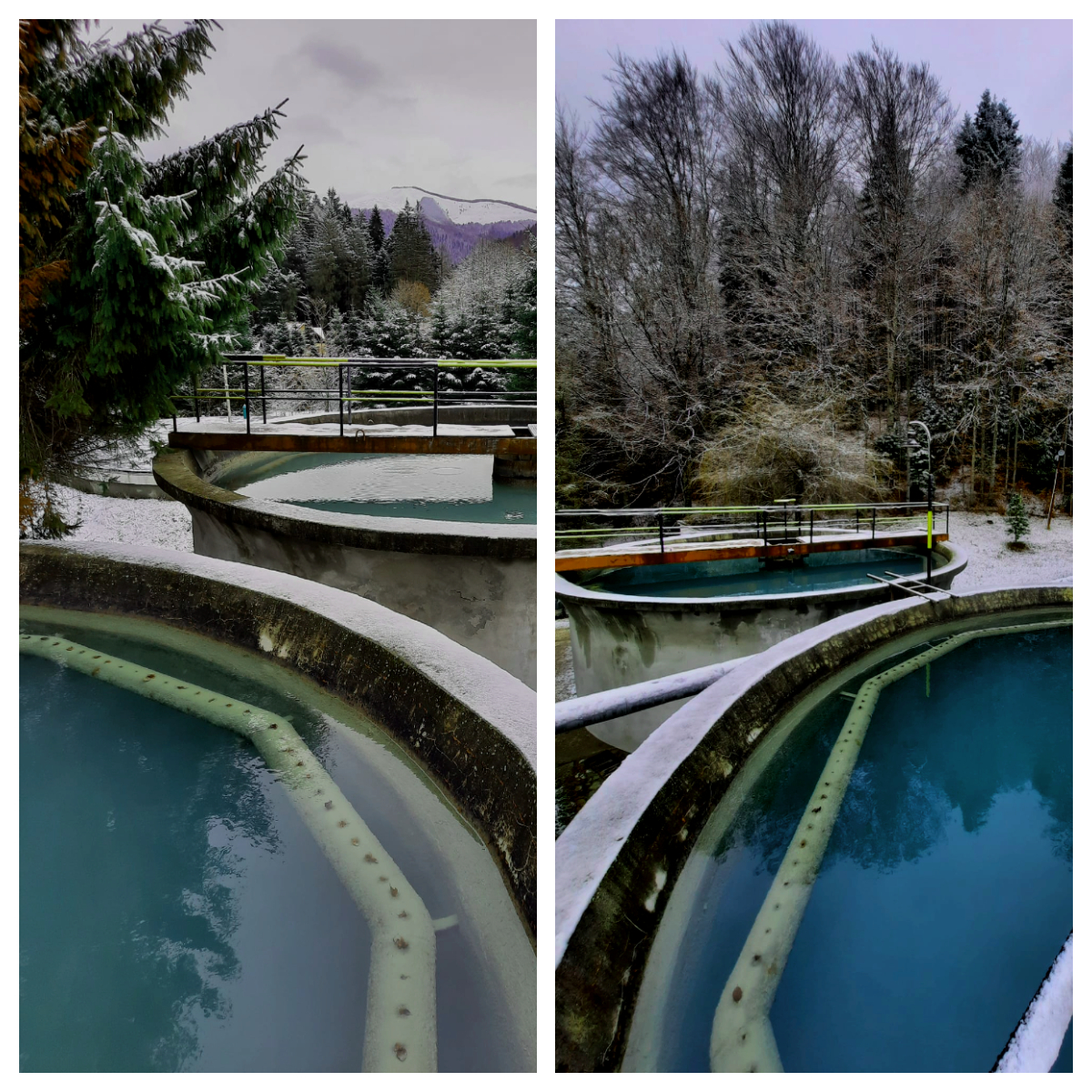 Hidro Prahova: Buletin informativ privind calitatea apei în Prahova – 22 decembrie 2023 Hidro Prahova: Buletin informativ privind calitatea apei în Prahova – 22 decembrie 2023