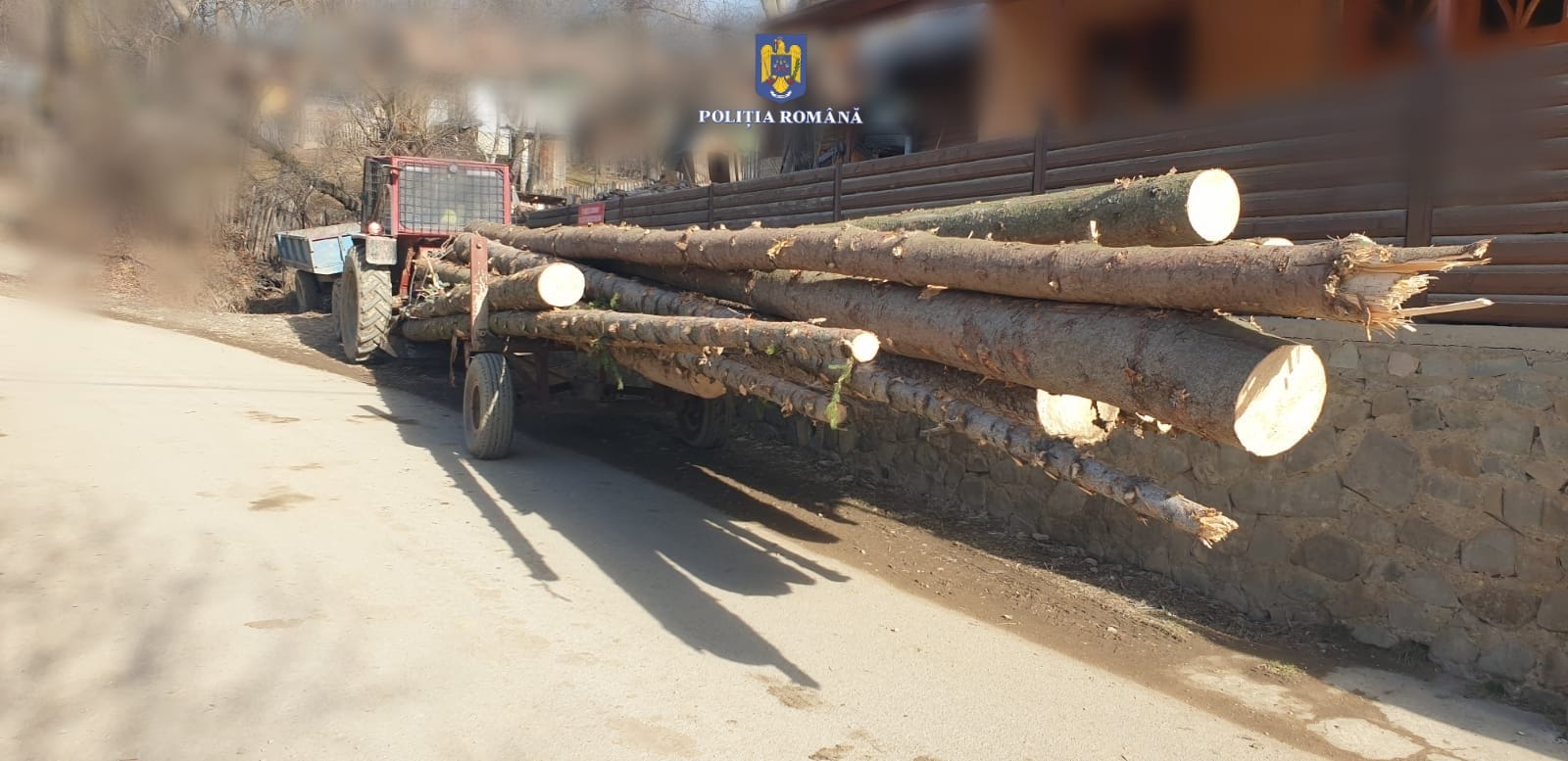 Lemn confiscat şi dus la Ocolul Silvic Vălenii de Munte, după un control făcut la Ceraşu