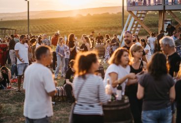 Cu picioarele goale la Tohani: Vara 2024, dedicată viei, vinului și tradițiilor românești