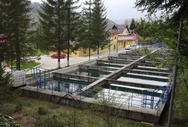 HIDRO PRAHOVA SA – Buletin informativ privind calitatea apei în Prahova, emis în data de 23 august 2024