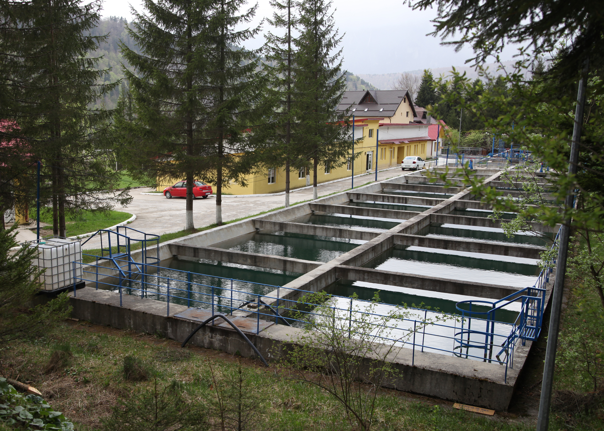 HIDRO PRAHOVA SA – Buletin informativ privind calitatea apei în Prahova, emis în data de 23 august 2024