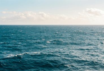 ANSVSA, bilanţul Comandamentului Estival 2024