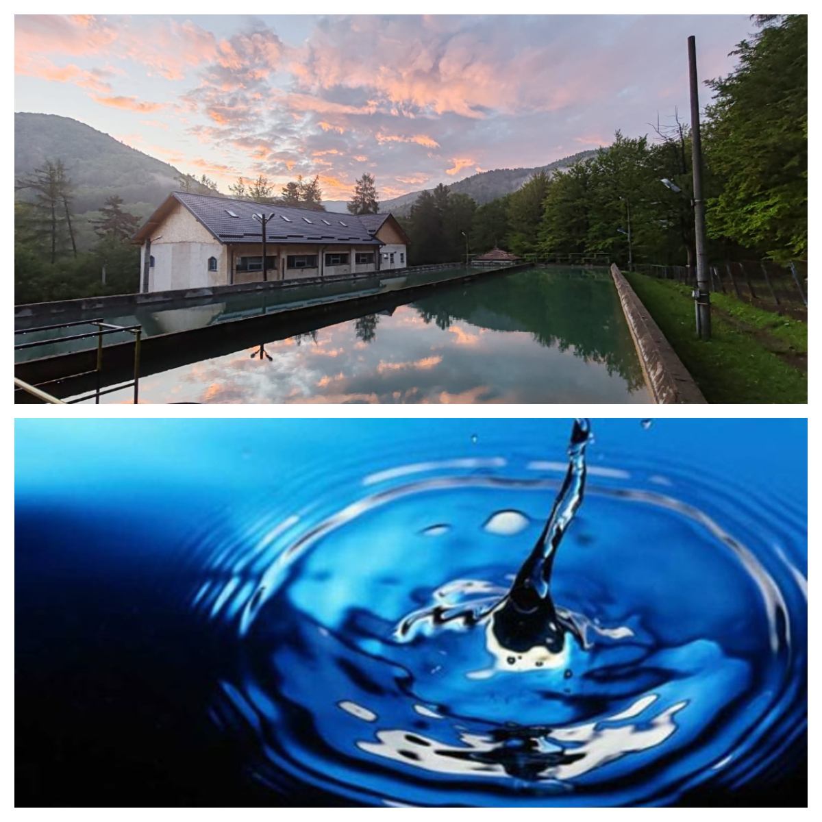 Hidro Prahova: Buletin informativ privind calitatea apei în Prahova – 11 octombrie 2024