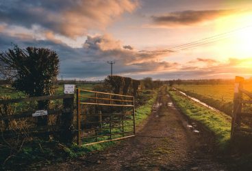 Sprijin financiar în valoare de peste 3,98 milioane lei pentru crescătorii de animale