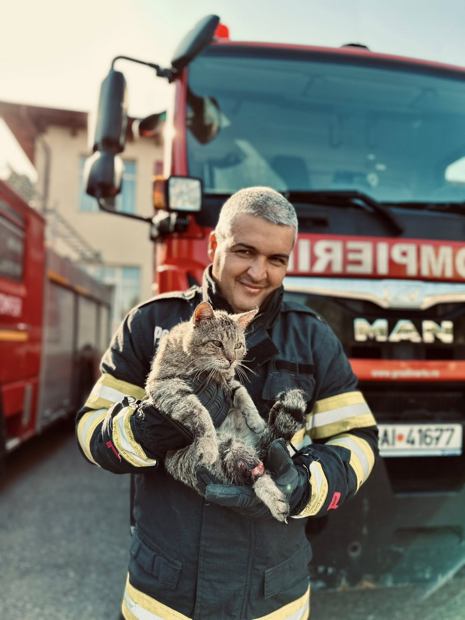 Intervenţie a pompierilor din Ploieşti pentru salvarea unei… pisici