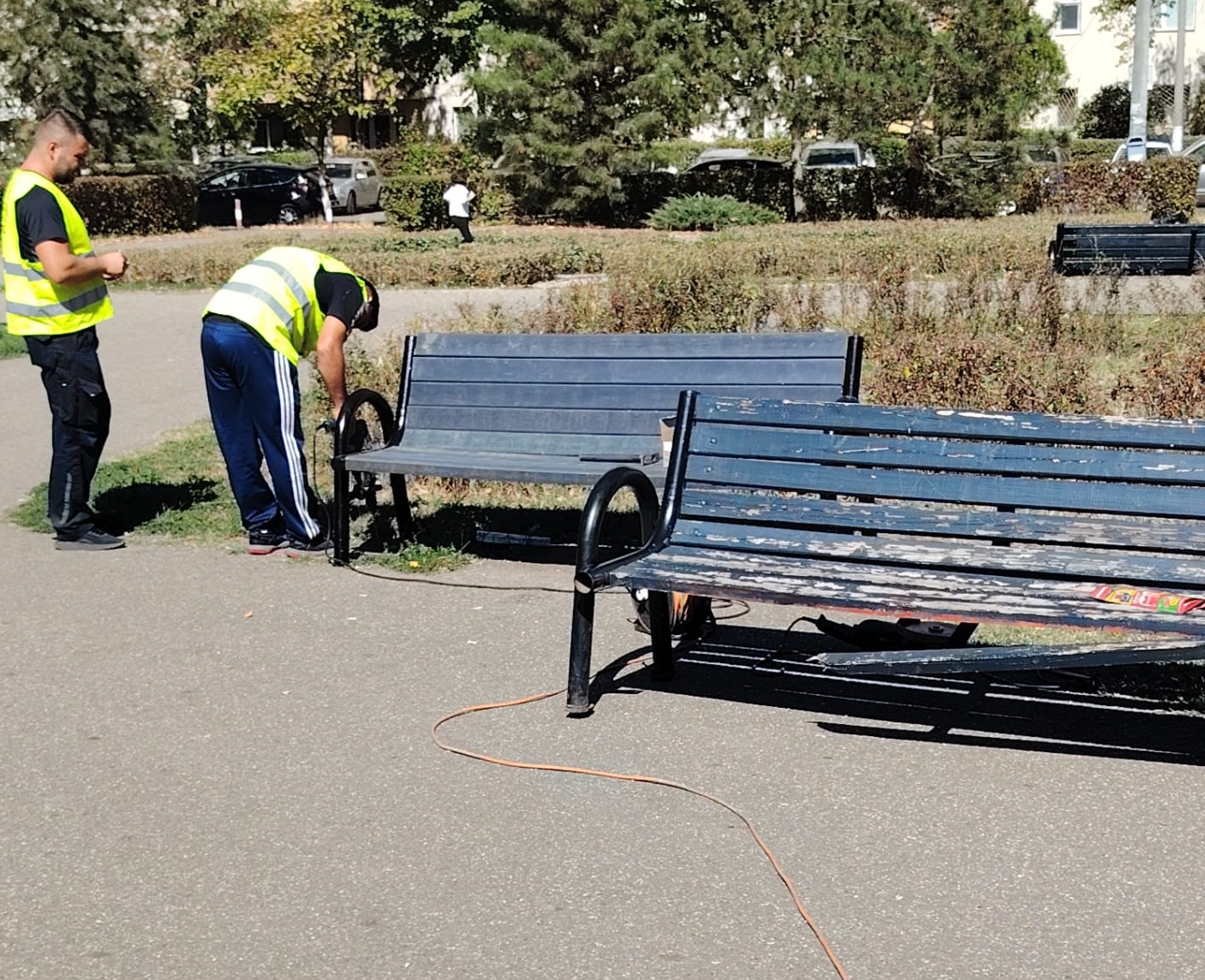 Intervenţie SGU Ploieşti în Parcul Aurora Vest Intervenţie SGU Ploieşti în Parcul Aurora Vest