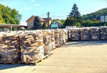 Romsilva vinde 2 milioane de metri cubi de lemn pentru foc la acelaşi preţ ca anul trecut