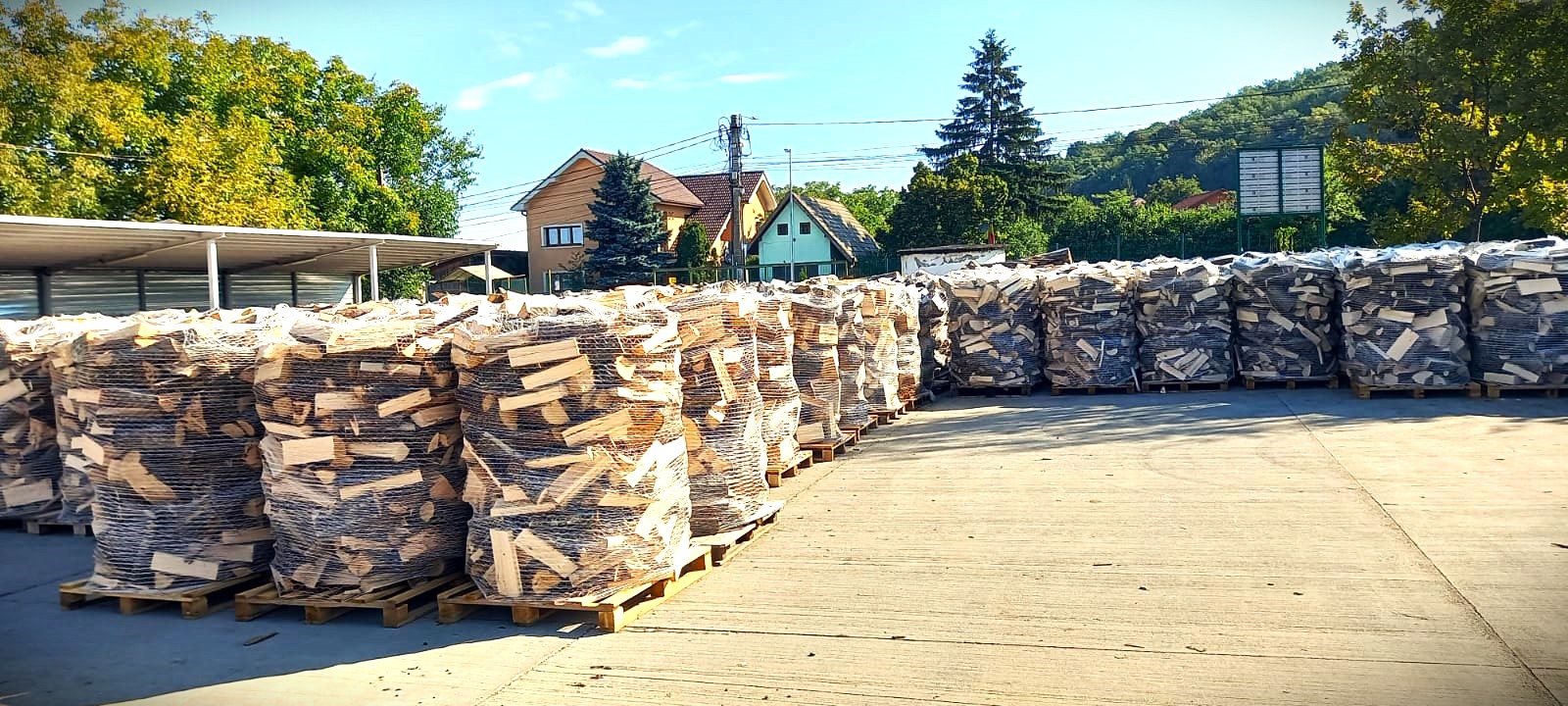 Romsilva vinde 2 milioane de metri cubi de lemn pentru foc la acelaşi preţ ca anul trecut