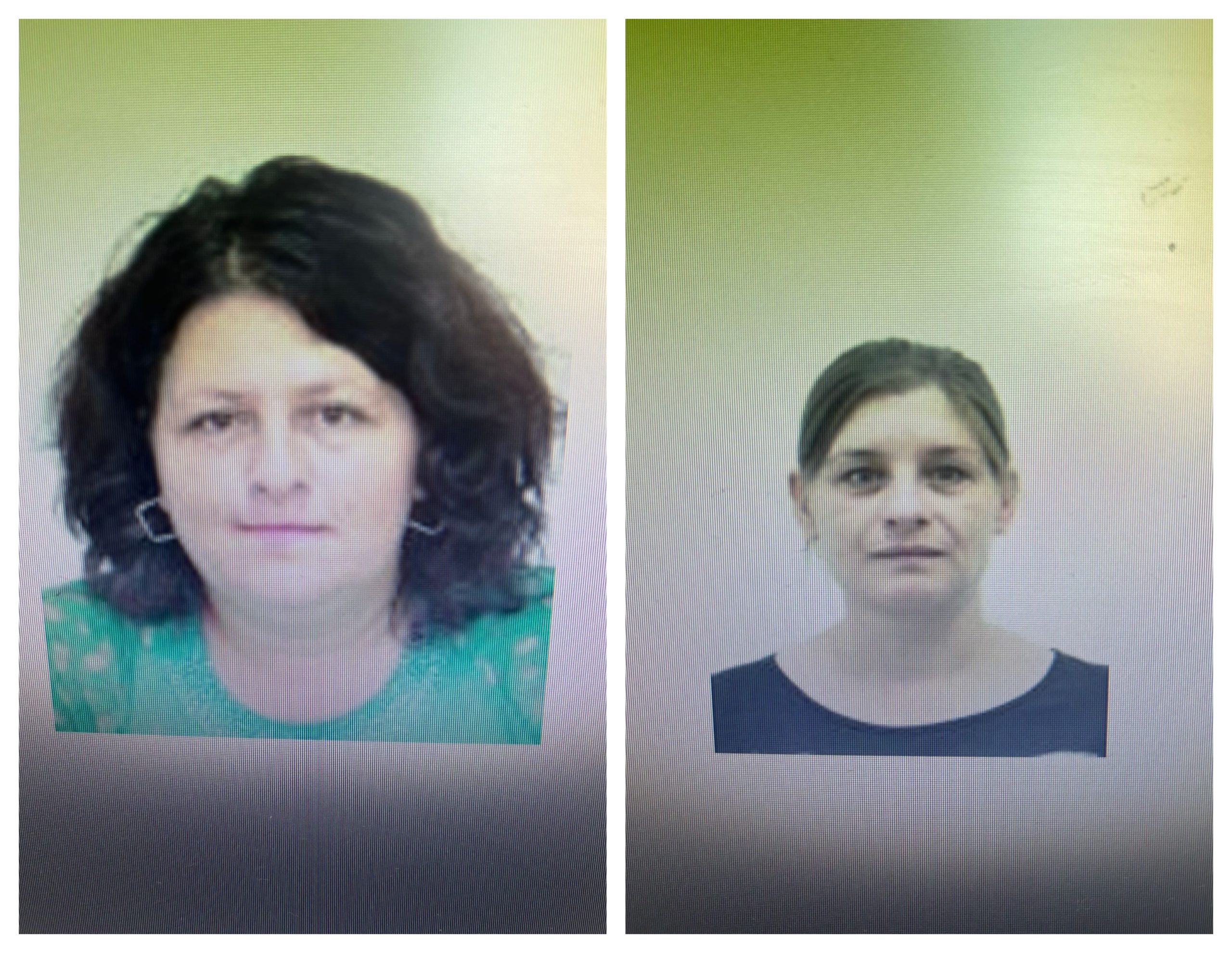 Femei din Blejoi şi Brazi, date dispărute