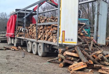 Dosar penal pentru transport ilegal de lemne