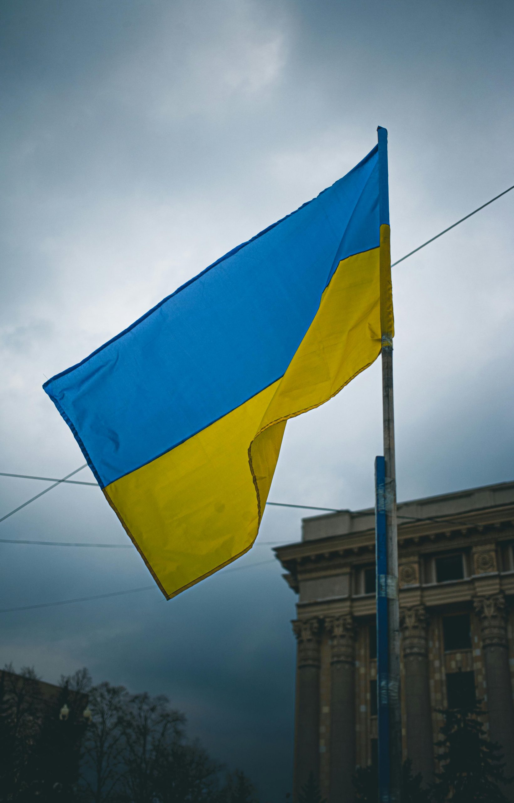 Guvernul României salută includerea României pe lista statelor în raport cu care Ucraina acceptă dubla cetățenie