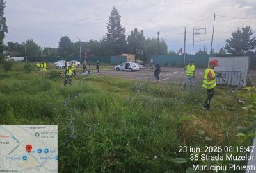 Curăţenie cu deţinuţi pe Dâmbu