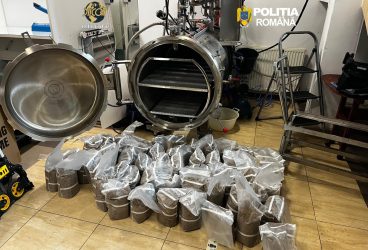 Cultivau ciuperci halucinogene și vindeau canabis, cocaină și LSD. Trei persoane reținute de BCCO Ploieşti
