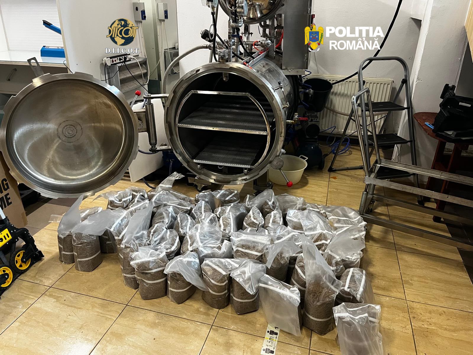 Cultivau ciuperci halucinogene și vindeau canabis, cocaină și LSD. Trei persoane reținute de BCCO Ploieşti Cultivau ciuperci halucinogene și vindeau canabis, cocaină și LSD. Trei persoane reținute de BCCO Ploieşti